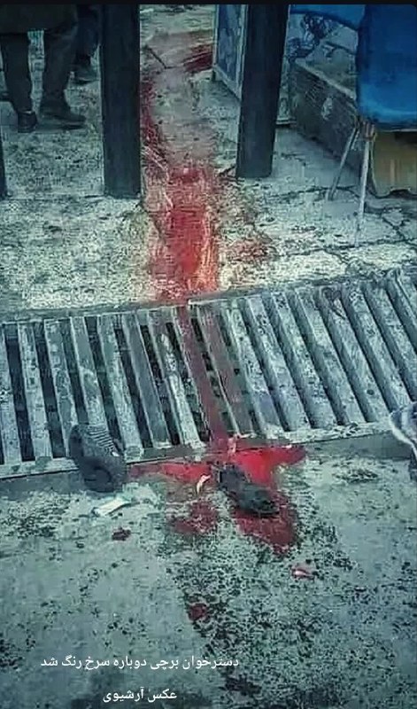 خبرگزاری افغان ایرکا: همین دیروز بود که جشن استقلال و پایان جنگ را گرفتند؛اما امروز، دختران و پسران شیعه در خون غلتیدند...امارت یا مخالفانش؛ ت