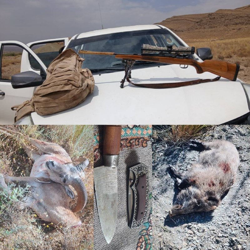 پیام ما آنلاین: 🔶تصاویر تلفن همراه، شکارچی غیرمجاز را در پارک ملی خبر روانه زندان کرد🔷بررسی محتوای تلفن همراه یکی از دو شکارچی متخلف در