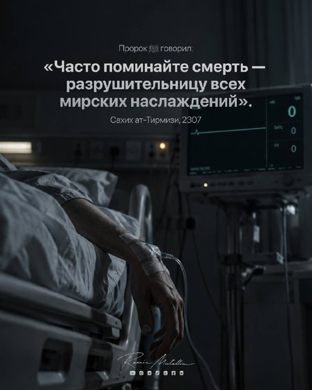 Иллюстрация к посту канала Рамин Муталлим