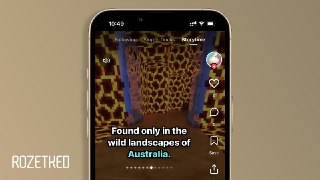Теперь нужно сделать TikTok в виде «Википедии»Разработчик-энтузиаст поделился веб-приложением QuickQuack, в котором можно листать «Википедию» как TikTok. Каждое «видео» в ленте генерируется в режиме реального времени при помощи Gemini 3 Flash.Проект был вд