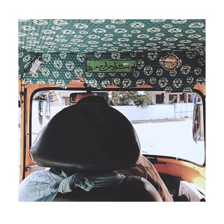 The Journey:  埃及，躲病毒的日子。