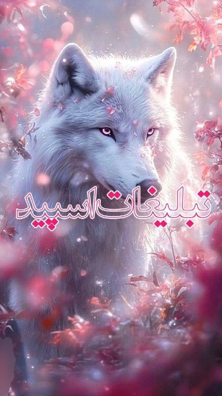 گروه دخترونه دوستیابی قم: ❶﹚ نام : 🍁 𝒈𝑨𝒕𝒉𝒆𝒓𝒊𝒏𝒈 𝑵𝒊𝒎𝒂 🍁❷﹚ نو؏ تبلیغات : #telegram❸﹚ توضیحات :ویس کال 24 ساعتهدر بزرگترین گـپ تلگرام 🔔༶•┈┈⛧┈♛ ♛┈⛧┈┈•༶