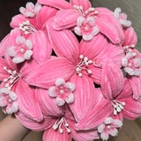 Пушистая флористика🌺