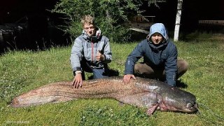 Итальянцам начали платить за вылов сомов — двухметровые усачи угрожают экосистеме озера Гарда. Об этом пишет Il Nordest Quotidiano.Тем временем россияне:кидайте фотки свежего улова нам в бот @inmash1_bot
