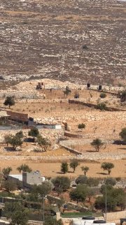 מתנחלים מסתערים על אדמות חקלאים ומשמידים אותן בכפר ברקה, מזרחית לרמאללה