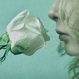 Daff Parf Blog