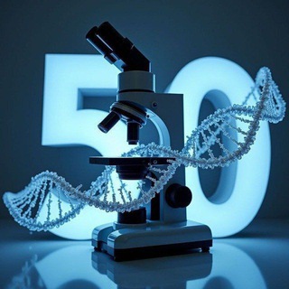 نجوم الفن اليمني Telegram Group Link