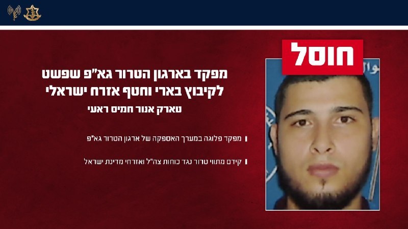 ניצן שפירא