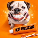 Oguzok sk