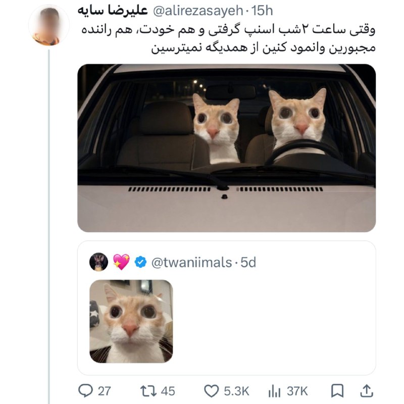 توییتر دانشگاه یزد: اون لحظهی عجیب که ساعت ۲ شب اسنپ میگیری و هر دو طرف با یه لبخند مصنوعی سعی میکنید ثابت کنید «نمیترسم، تو بترس!» 😂انگ