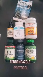 氛苯达唑 治疗癌症组合拳👇