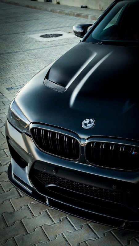 https://t.me/bmw_mpower_club