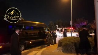 אלי הירשמן