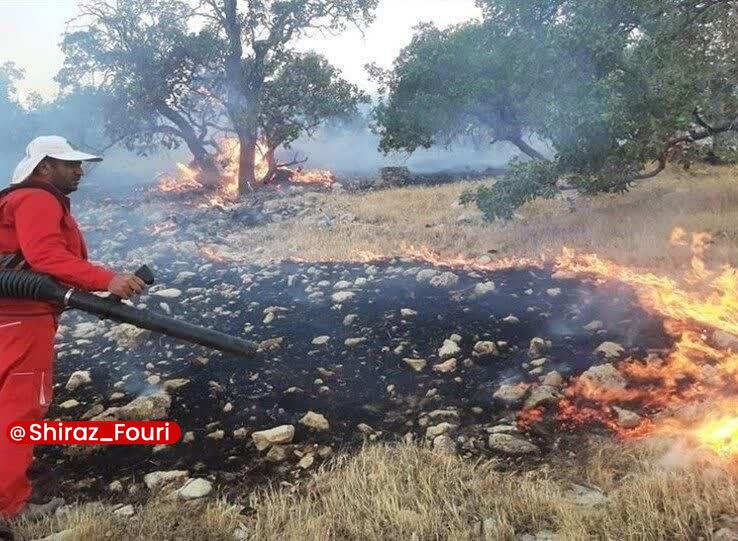 شیراز فوری - فارس: آتش‌سوزی در جنگل‌های کوهمره سرخی شیراز🔹آتش‌سوزی گسترده‌ای از ظهر امروز (جمعه) در جنگل‌ها و ارتفاعات دهستان کوهمره سرخی ش