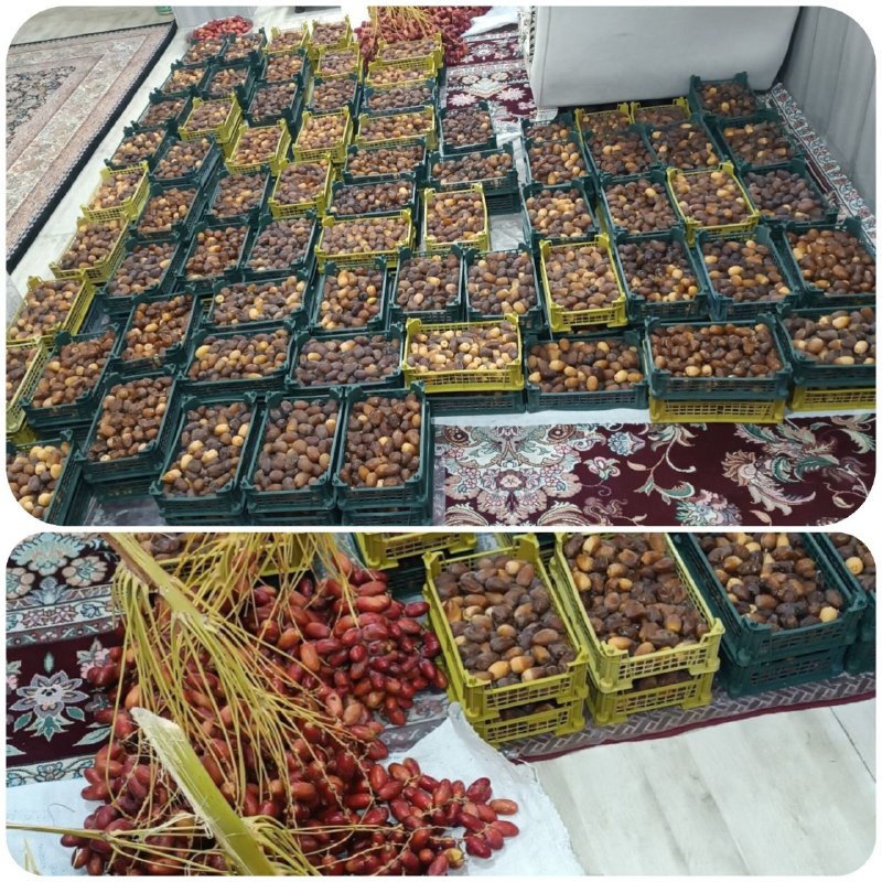 ازندریان خبر: رطب و خارک تازه. کبکاب رسید.📲 09184954480https://eitaa.com/azandaryan2