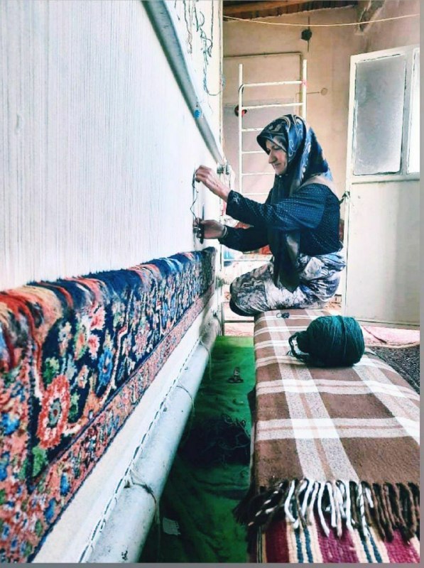 هزاوه تلگرام: ✅ قالیبافی نشینم پشت قالی با دل تنگببافم قالی هفتاد و هفت رنگ الهی پشت او خوابُم نگیره که استادُم بیا ایراد بگیره برخی