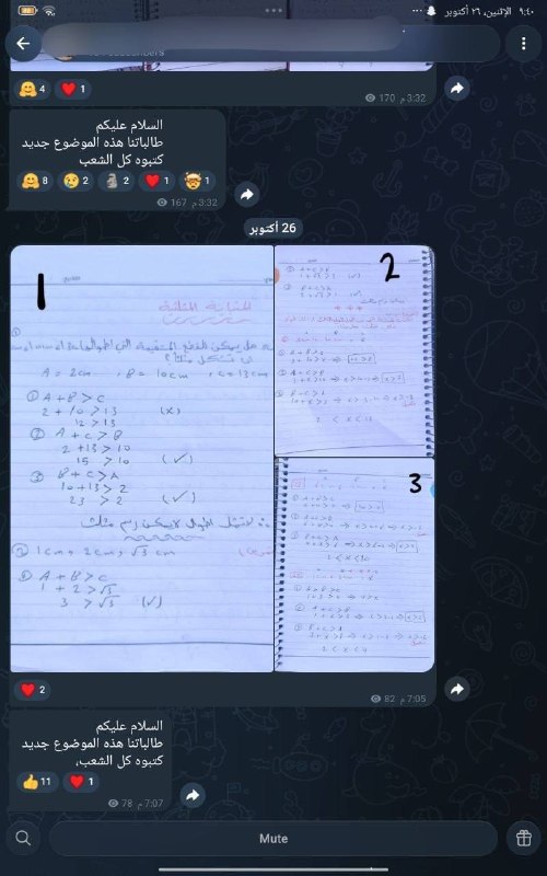 בניגוד להחלטת משרד החינוך, אי הטלת מטלות לתלמידים מחוץ לבית הספר משמעה רק סקירת השיעורים שקיבלו בכיתה בבית…