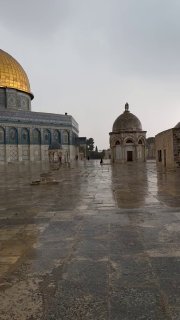 צפו בגשם היורד בחצרות מסגד אל-אקצא המבורך לפני שעה קלה.