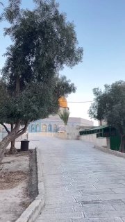 صور جديدة لقبة الصخرة بالمسجد الأقصى