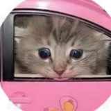 Кредиты пр