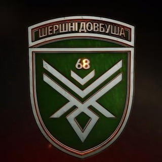 Telegram profile photo for Шершні Довбуша 🐝💣