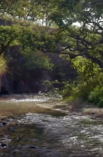 Take Charge of Your Own Affairs