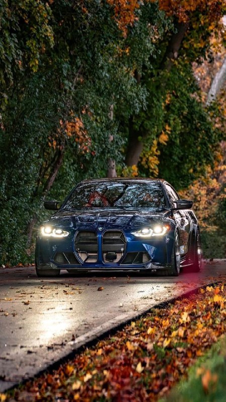 https://t.me/bmw_mpower_club