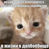 Инфо Корма