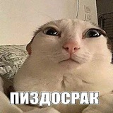 ⊹†˚˙يتنسوؤ˙˚†⊹