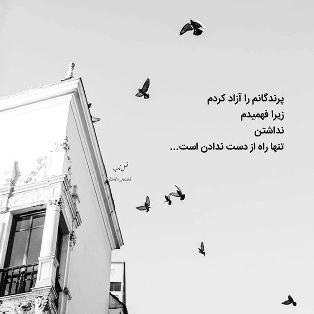 برداشت آزاده: رسانه پست