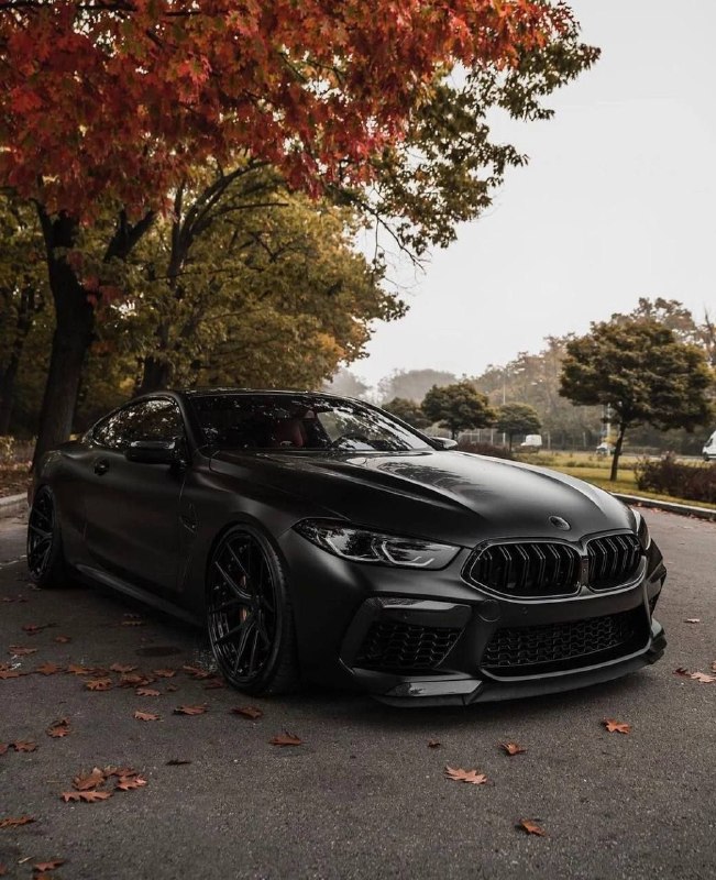 https://t.me/bmw_mpower_club