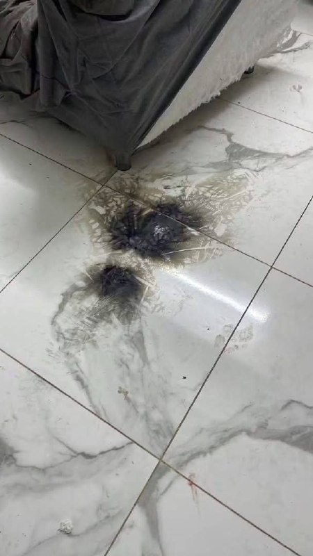 תמונות של ההרס וההרס שגרם צבא הכיבוש במהלך הפשיטה על בית משפחת סמארה בטמון, מחוז טובאס.