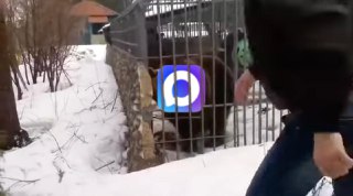 Есть первый оштрафованный за контент в Махе. Абинский районный суд Краснодарского края оштрафовал местного жителя за аватарку, на которой стояло его фото с татуировкой с «восьмиконечной звездой — запрещённой символикой АУЕ». Мужчина признал вину по статье 