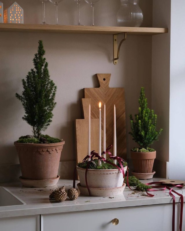 А вот вам немного вдохновения В качестве кашпо может служить любая емкость ваза, винтажная посудина из стекла или металла, ведро, салатник. Мы огра... - изображение 2 - telegram, view, немного