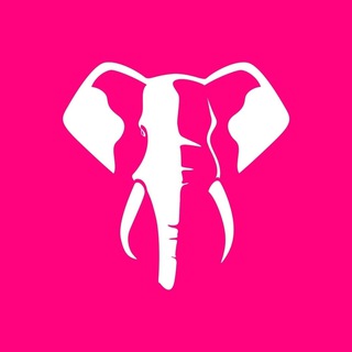 Telegram profile photo for Elephant Bet - Ethiopia