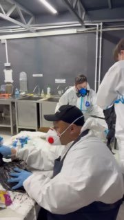 На побережье Анапы обнаружили более 200 погибших и измазанных в нефтепродуктах птиц, сообщил оперштаб Краснодарского края.«По оценке специалистов, птицы могли попасть в пятно нефтепродуктов, которое обнаружили в 11 километрах от курорта. Накануне его обраб