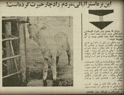 ردپای تاریخ: بره کلاس بالا در سال ۵۲! 🆔 @Iran5History