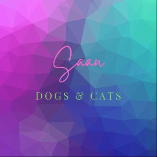 Dogs & Cats |UAE Buy&Sell Telegram Group Link