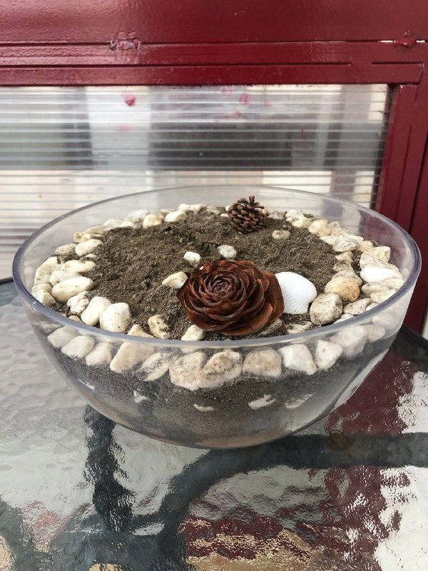 Горшочек прозрачный с отличной землёй для вашей фантазии🤗 15 лари — фото 1