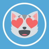 I gatti di Telegram😻♥️
