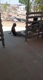مستوطنون يقتحمون محيط منازل الأهالي في خلة الحمص بالخليل