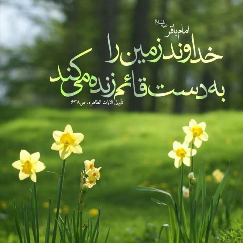 کانال یاران مهدی (عج): اللهم عجل لولیک الفرج والعافیه والنصر🌹سلام حضرت مهربانی ، مهدی جاندر عزای جد مظلومتان ، امام رئوف ، کدام گوشه ی حرم ، به