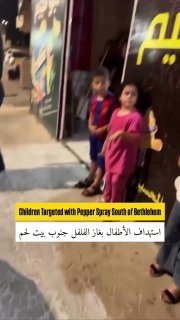 🇮🇱🇵🇸 — פיגועים יומיומיים נמשכים... כנופיות מתנחלים ריססו גז פלפל בתוך רכב ופצעו מספר ילדים בכפר אבו נוג…