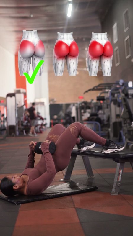 Секреты идеальных ягодиц: прорабатываем все группы мышц 2