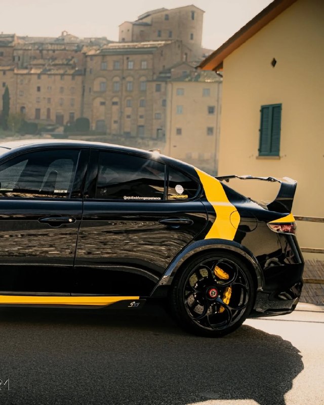 Alfa Romeo Giulia GTAm 5