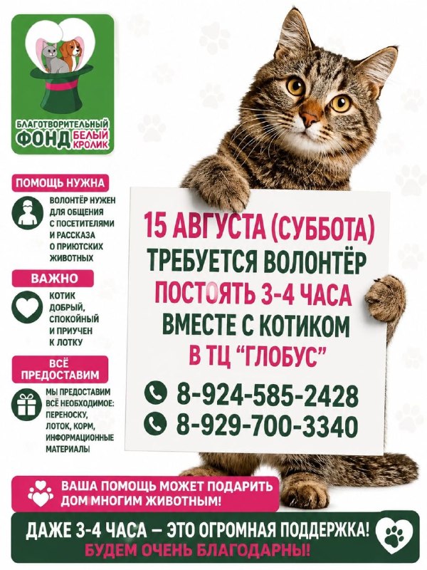 15 августа (суббота) срочно нужен волонтёр — провести...