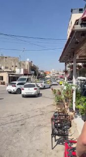 ניצן שפירא