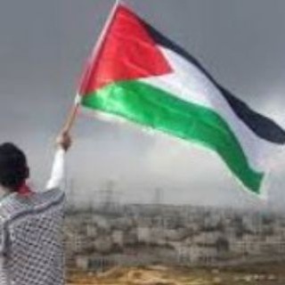 Новости Палестины/Palestine news🇵🇸