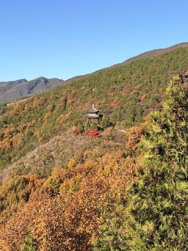 红螺寺赏秋最佳位置在橡树林红螺寺赏秋最佳位置在橡树林