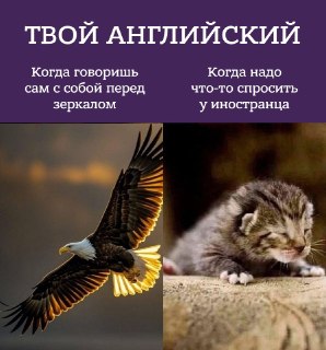 Учил английский по правилам и таблицам, но до сих пор сложно поддержать разговор, пошутить, поспорить или уверенно выразить свои мысли?Мы делаем ставку на практику: больше общения, меньше зубрёжки. Без стресса, давления и страха ошибиться. Просто живой анг